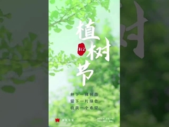 アルミオキシド輸送ローラー